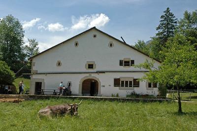 u45/renato52/medium/29599236.DSC_0078Kopie.jpg