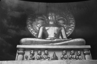 buddha behind glass