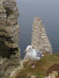 Etretat