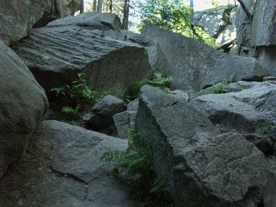 Rocky trail