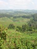 Patterned fields on road to Ndu