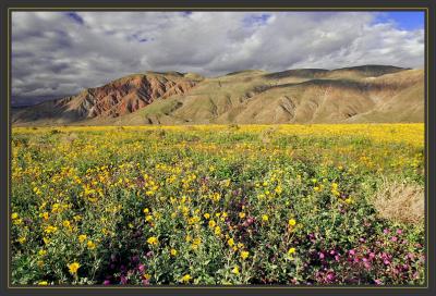  Henderson Road, Anza Borrego