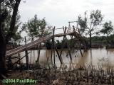 Fishing village on the north coast of Java - bamboo bridge