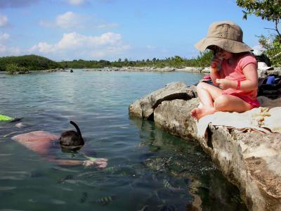 Feeding-Fish.