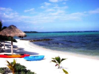 PARADISE