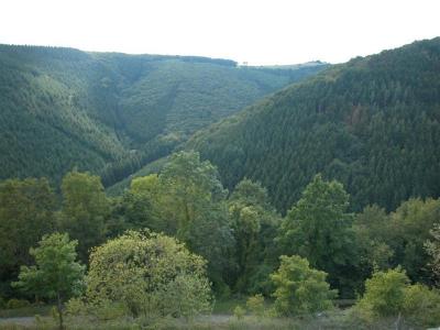 2003-09-09 14-50-54.JPG