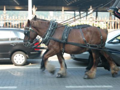 2004-09-05 10-53-26.jpg