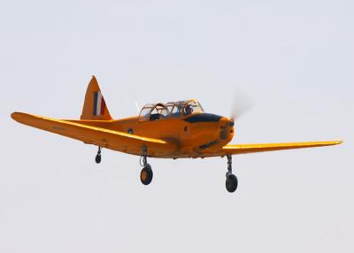 rmr04-02408_edited-w.jpg