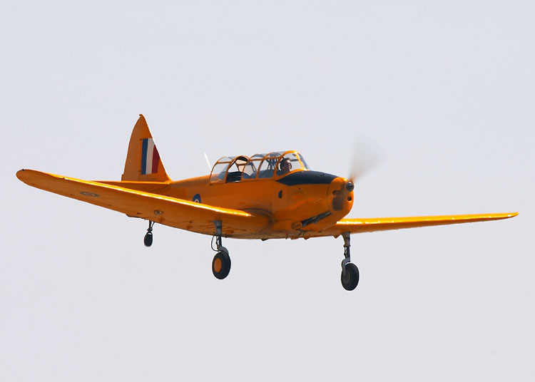 rmr04-02408_edited-w.jpg