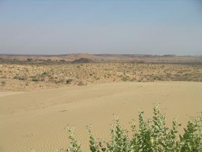 u45/robburvill/medium/28930732.IMGP1203GreatTharDesert.jpg