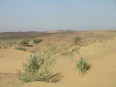 u45/robburvill/medium/28930733.IMGP1204GreatTharDesert.jpg