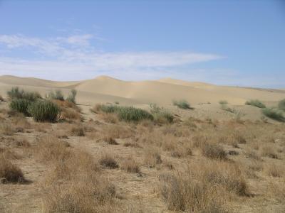 u45/robburvill/medium/28930735.IMGP1206GreatTharDesert.jpg