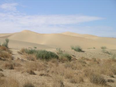 u45/robburvill/medium/28930814.IMGP1207GreatTharDesert.jpg