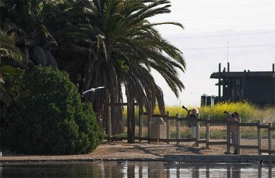Baylands : 27-Mar-04