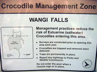 Crocodile zone