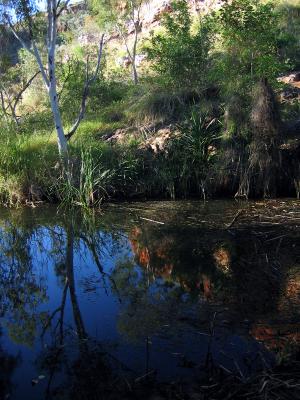 Reflection 3