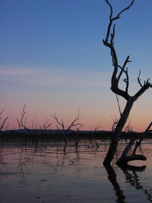 Lake Kununurra