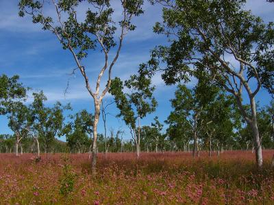 Touring Western Australia