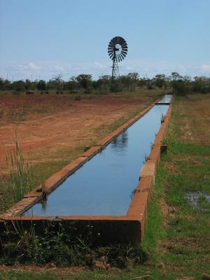 Cattle trough