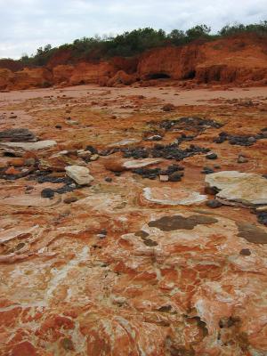 Dinosaur footprints