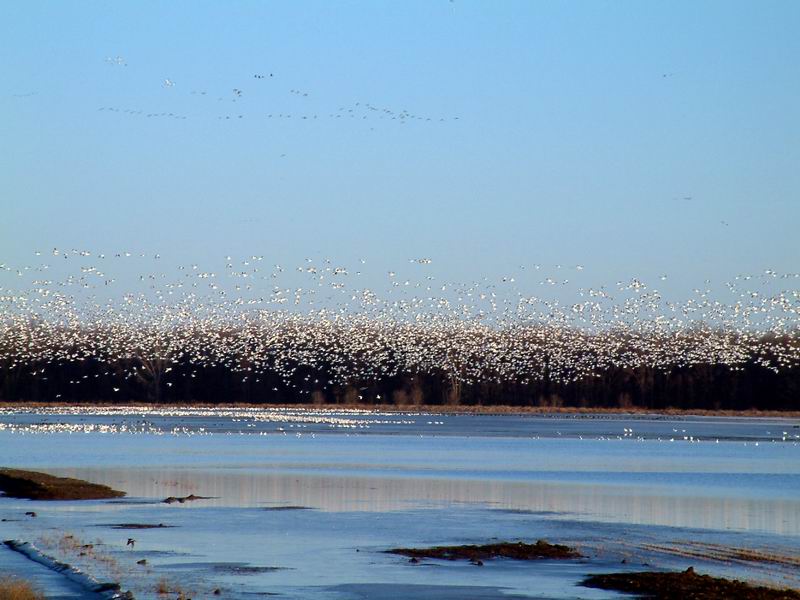 Impressionnant