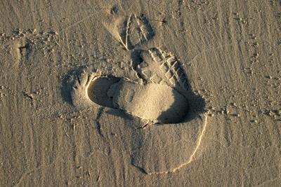 u45/rossb/medium/29529119.footprint.jpg