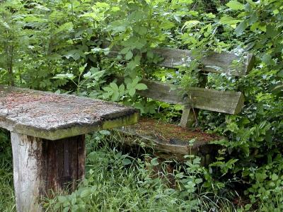 Alte Bank (Old Bench)