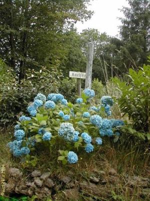 BREIZH
