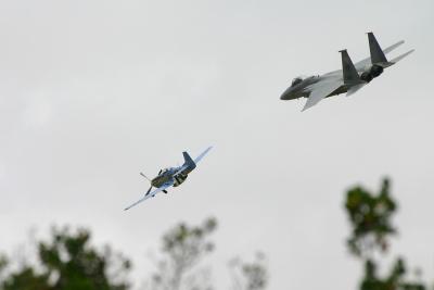 F-15 and P-51