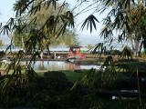 Liliuokalani Gardens