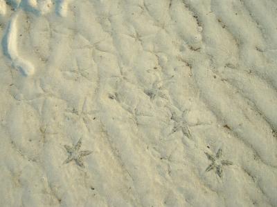 Starry Starry Sand