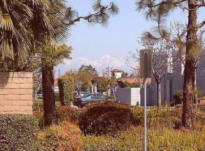 Snowy Mtns. on 91 degree day