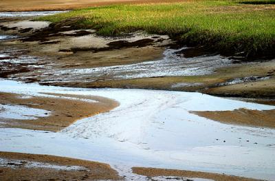 Water Patterns