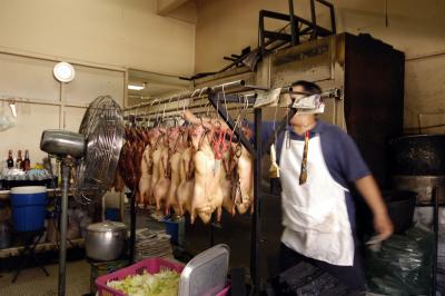 Roast Duck Anyone?
