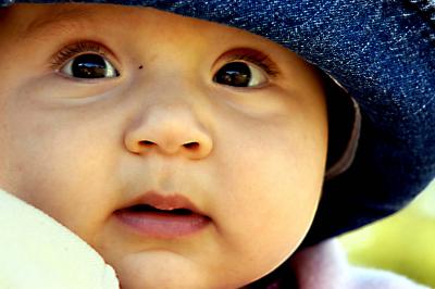 u45/shutterbug1/medium/34700806.Picture030a.jpg