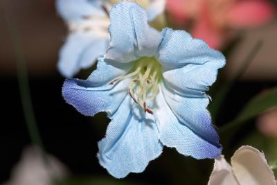 Blue Cloth Flower.jpg