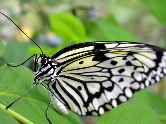 DSCN1749.jpg