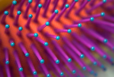 Brush Bristles
