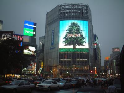 Ӥ 069.jpg