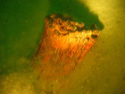155_5586.jpg