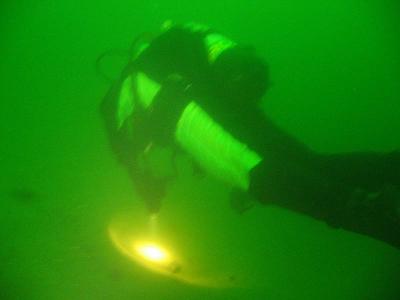 155_5587.jpg