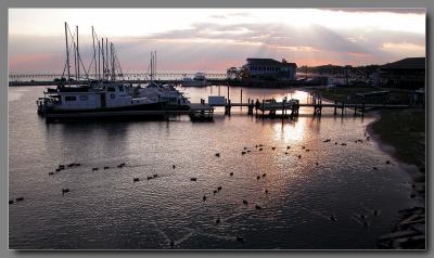 u45/smms/medium/29195200.LBharbor.jpg