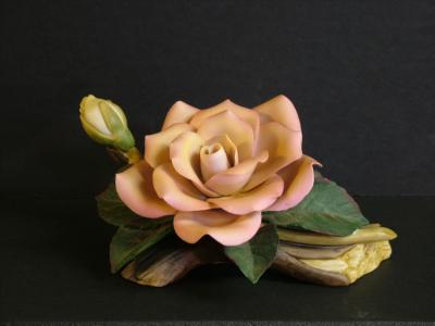 Pocelain Rose - Flash OFF.jpg