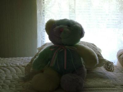Teddy Bear - Auto Mode.jpg