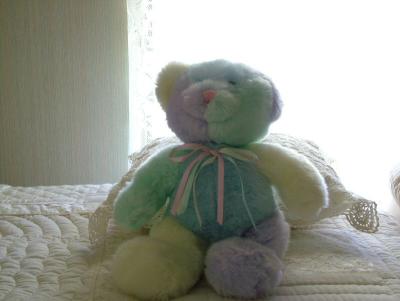 Teddy Bear - using Exposure Compensation.jpg