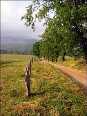 Smoky Mountains49