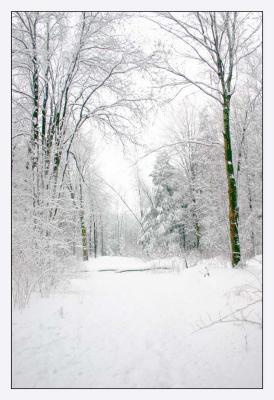 Winter Scenes 03