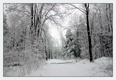 Winter Scenes 04