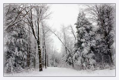 Winter Scenes 06