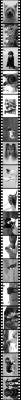 filmstrip2.jpg
